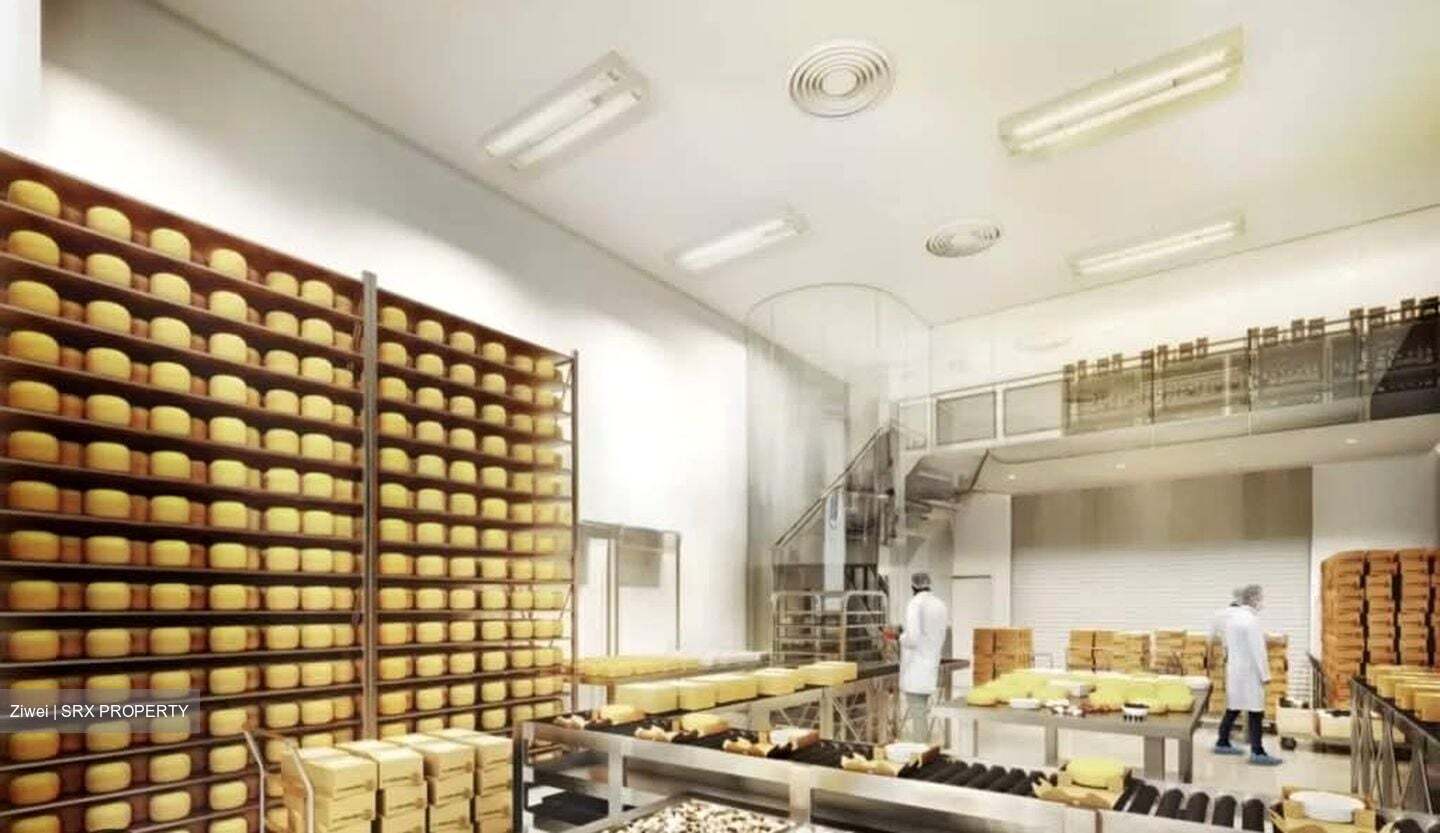 Ct Foodnex (D25), Factory #537648321